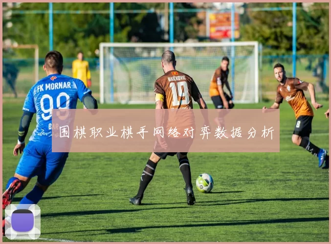 围棋职业棋手网络对弈数据分析