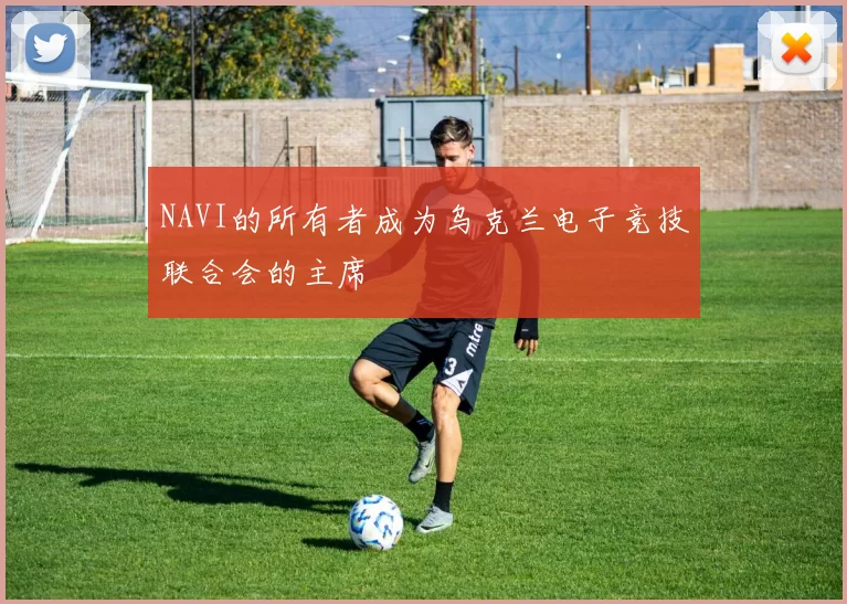 NAVI的所有者成为乌克兰电子竞技联合会的主席