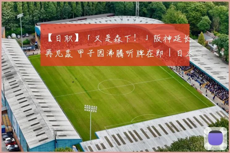 【日职】「又是森下！」阪神延长再见轰 甲子园沸腾听牌在即｜日本职棒