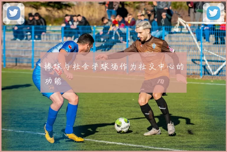 棒球与社会学球场作为社交中心的功能