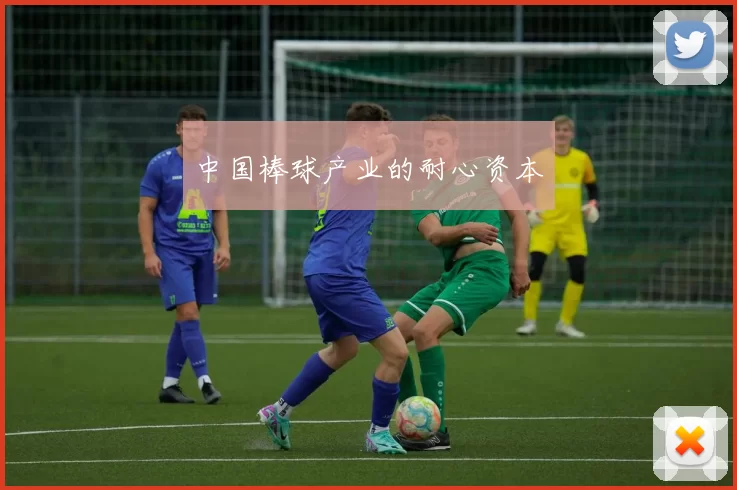 中国棒球产业的耐心资本
