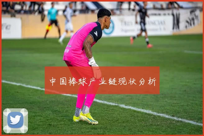 中国棒球产业链现状分析