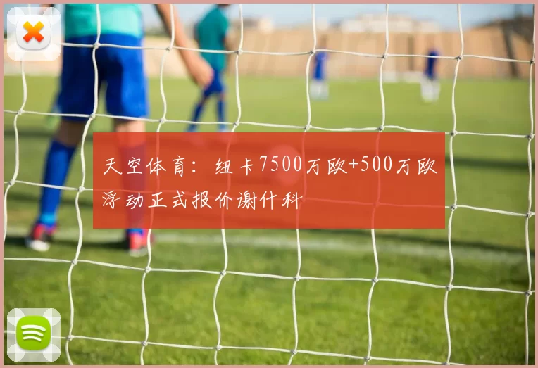 天空体育：纽卡7500万欧+500万欧浮动正式报价谢什科
