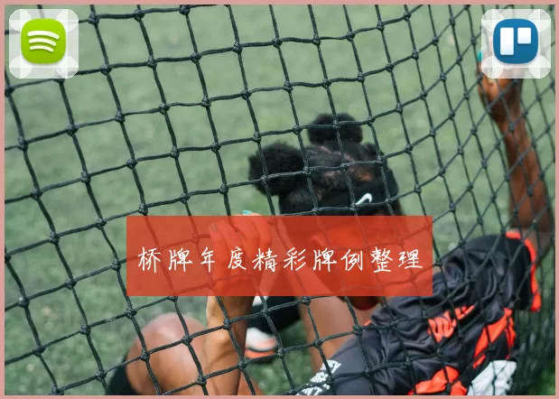 桥牌年度精彩牌例整理