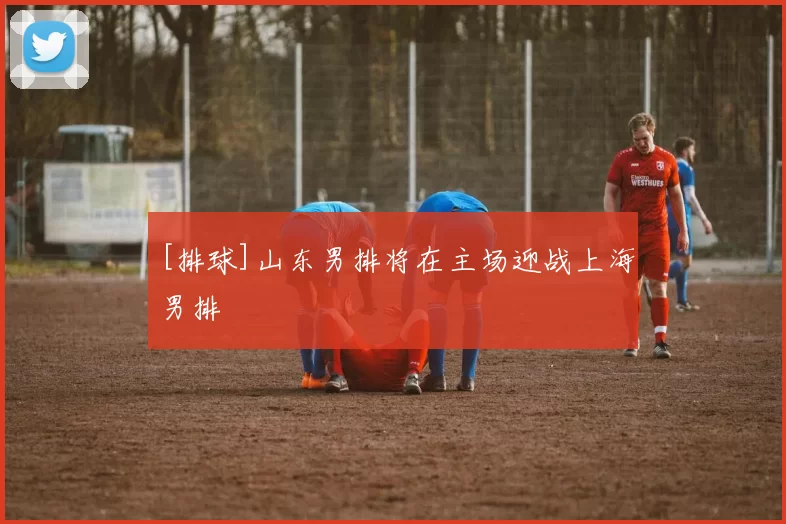 [排球]山东男排将在主场迎战上海男排