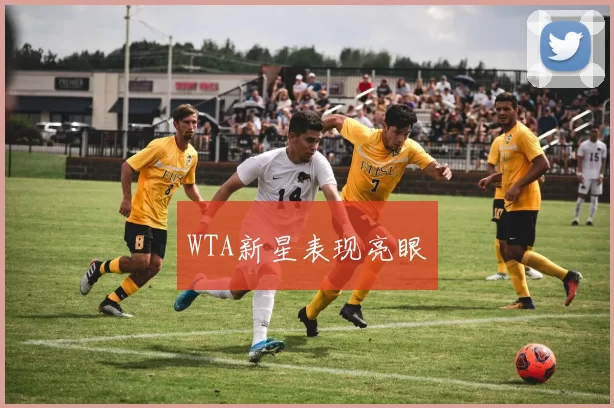 WTA新星表现亮眼